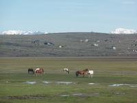 17 Tage Wanderreise Argentinien und Chile – Patagonien und Feuerland mit Buenos Aires – Nationalpark Los Glaciares mit El Chalten und Perito Moreno – Nationalpark Torres del Paine – Feuerland – Ushuaia (352)