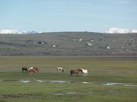 17 Tage Wanderreise Argentinien und Chile – Patagonien und Feuerland mit Buenos Aires – Nationalpark Los Glaciares mit El Chalten und Perito Moreno – Nationalpark Torres del Paine – Feuerland – Ushuaia (353)