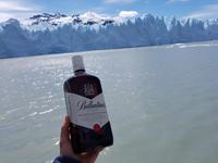 17 Tage Wanderreise Argentinien und Chile – Patagonien und Feuerland mit Buenos Aires – Nationalpark Los Glaciares mit El Chalten und Perito Moreno – Nationalpark Torres del Paine – Feuerland – Ushuaia (372)