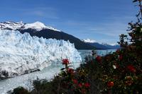 17 Tage Wanderreise Argentinien und Chile – Patagonien und Feuerland mit Buenos Aires – Nationalpark Los Glaciares mit El Chalten und Perito Moreno – Nationalpark Torres del Paine – Feuerland – Ushuaia (398)