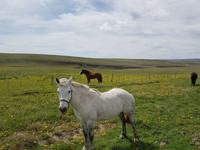 17 Tage Wanderreise Argentinien und Chile – Patagonien und Feuerland mit Buenos Aires – Nationalpark Los Glaciares mit El Chalten und Perito Moreno – Nationalpark Torres del Paine – Feuerland – Ushuaia (454)