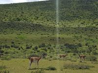 17 Tage Wanderreise Argentinien und Chile – Patagonien und Feuerland mit Buenos Aires – Nationalpark Los Glaciares mit El Chalten und Perito Moreno – Nationalpark Torres del Paine – Feuerland – Ushuaia (462)