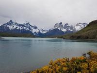 17 Tage Wanderreise Argentinien und Chile – Patagonien und Feuerland mit Buenos Aires – Nationalpark Los Glaciares mit El Chalten und Perito Moreno – Nationalpark Torres del Paine – Feuerland – Ushuaia (482)