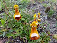 17 Tage Wanderreise Argentinien und Chile – Patagonien und Feuerland mit Buenos Aires – Nationalpark Los Glaciares mit El Chalten und Perito Moreno – Nationalpark Torres del Paine – Feuerland – Ushuaia (490)