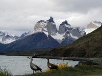 17 Tage Wanderreise Argentinien und Chile – Patagonien und Feuerland mit Buenos Aires – Nationalpark Los Glaciares mit El Chalten und Perito Moreno – Nationalpark Torres del Paine – Feuerland – Ushuaia (504)