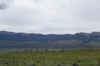 17 Tage Wanderreise Argentinien und Chile – Patagonien und Feuerland mit Buenos Aires – Nationalpark Los Glaciares mit El Chalten und Perito Moreno – Nationalpark Torres del Paine – Feuerland – Ushuaia (518)