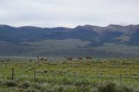 17 Tage Wanderreise Argentinien und Chile – Patagonien und Feuerland mit Buenos Aires – Nationalpark Los Glaciares mit El Chalten und Perito Moreno – Nationalpark Torres del Paine – Feuerland – Ushuaia (520)