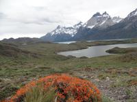 17 Tage Wanderreise Argentinien und Chile – Patagonien und Feuerland mit Buenos Aires – Nationalpark Los Glaciares mit El Chalten und Perito Moreno – Nationalpark Torres del Paine – Feuerland – Ushuaia (542)