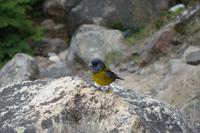 17 Tage Wanderreise Argentinien und Chile – Patagonien und Feuerland mit Buenos Aires – Nationalpark Los Glaciares mit El Chalten und Perito Moreno – Nationalpark Torres del Paine – Feuerland – Ushuaia (605)