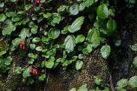 17 Tage Wanderreise Argentinien und Chile – Patagonien und Feuerland mit Buenos Aires – Nationalpark Los Glaciares mit El Chalten und Perito Moreno – Nationalpark Torres del Paine – Feuerland – Ushuaia (608)