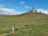 17 Tage Wanderreise Argentinien und Chile – Patagonien und Feuerland mit Buenos Aires – Nationalpark Los Glaciares mit El Chalten und Perito Moreno – Nationalpark Torres del Paine – Feuerland – Ushuaia (702)