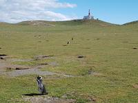 17 Tage Wanderreise Argentinien und Chile – Patagonien und Feuerland mit Buenos Aires – Nationalpark Los Glaciares mit El Chalten und Perito Moreno – Nationalpark Torres del Paine – Feuerland – Ushuaia (705)