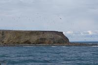 17 Tage Wanderreise Argentinien und Chile – Patagonien und Feuerland mit Buenos Aires – Nationalpark Los Glaciares mit El Chalten und Perito Moreno – Nationalpark Torres del Paine – Feuerland – Ushuaia (725)