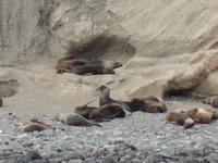 17 Tage Wanderreise Argentinien und Chile – Patagonien und Feuerland mit Buenos Aires – Nationalpark Los Glaciares mit El Chalten und Perito Moreno – Nationalpark Torres del Paine – Feuerland – Ushuaia (729)