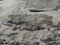 17 Tage Wanderreise Argentinien und Chile – Patagonien und Feuerland mit Buenos Aires – Nationalpark Los Glaciares mit El Chalten und Perito Moreno – Nationalpark Torres del Paine – Feuerland – Ushuaia (731)