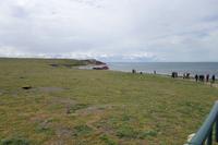 17 Tage Wanderreise Argentinien und Chile – Patagonien und Feuerland mit Buenos Aires – Nationalpark Los Glaciares mit El Chalten und Perito Moreno – Nationalpark Torres del Paine – Feuerland – Ushuaia (736)