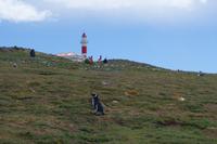 17 Tage Wanderreise Argentinien und Chile – Patagonien und Feuerland mit Buenos Aires – Nationalpark Los Glaciares mit El Chalten und Perito Moreno – Nationalpark Torres del Paine – Feuerland – Ushuaia (737)