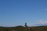 17 Tage Wanderreise Argentinien und Chile – Patagonien und Feuerland mit Buenos Aires – Nationalpark Los Glaciares mit El Chalten und Perito Moreno – Nationalpark Torres del Paine – Feuerland – Ushuaia (740)