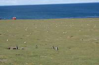 17 Tage Wanderreise Argentinien und Chile – Patagonien und Feuerland mit Buenos Aires – Nationalpark Los Glaciares mit El Chalten und Perito Moreno – Nationalpark Torres del Paine – Feuerland – Ushuaia (746)