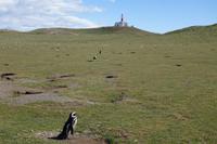 17 Tage Wanderreise Argentinien und Chile – Patagonien und Feuerland mit Buenos Aires – Nationalpark Los Glaciares mit El Chalten und Perito Moreno – Nationalpark Torres del Paine – Feuerland – Ushuaia (748)