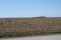 17 Tage Wanderreise Argentinien und Chile – Patagonien und Feuerland mit Buenos Aires – Nationalpark Los Glaciares mit El Chalten und Perito Moreno – Nationalpark Torres del Paine – Feuerland – Ushuaia (775)