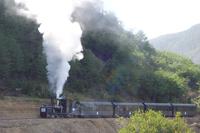 17 Tage Wanderreise Argentinien und Chile – Patagonien und Feuerland mit Buenos Aires – Nationalpark Los Glaciares mit El Chalten und Perito Moreno – Nationalpark Torres del Paine – Feuerland – Ushuaia (806)