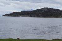 17 Tage Wanderreise Argentinien und Chile – Patagonien und Feuerland mit Buenos Aires – Nationalpark Los Glaciares mit El Chalten und Perito Moreno – Nationalpark Torres del Paine – Feuerland – Ushuaia (824)