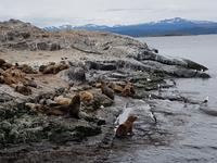 17 Tage Wanderreise Argentinien und Chile – Patagonien und Feuerland mit Buenos Aires – Nationalpark Los Glaciares mit El Chalten und Perito Moreno – Nationalpark Torres del Paine – Feuerland – Ushuaia (859)