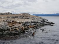 17 Tage Wanderreise Argentinien und Chile – Patagonien und Feuerland mit Buenos Aires – Nationalpark Los Glaciares mit El Chalten und Perito Moreno – Nationalpark Torres del Paine – Feuerland – Ushuaia (860)