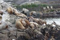 17 Tage Wanderreise Argentinien und Chile – Patagonien und Feuerland mit Buenos Aires – Nationalpark Los Glaciares mit El Chalten und Perito Moreno – Nationalpark Torres del Paine – Feuerland – Ushuaia (871)