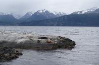 17 Tage Wanderreise Argentinien und Chile – Patagonien und Feuerland mit Buenos Aires – Nationalpark Los Glaciares mit El Chalten und Perito Moreno – Nationalpark Torres del Paine – Feuerland – Ushuaia (877)