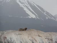 17 Tage Wanderreise Argentinien und Chile – Patagonien und Feuerland mit Buenos Aires – Nationalpark Los Glaciares mit El Chalten und Perito Moreno – Nationalpark Torres del Paine – Feuerland – Ushuaia (884)