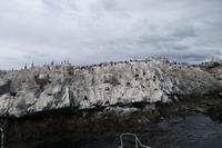 17 Tage Wanderreise Argentinien und Chile – Patagonien und Feuerland mit Buenos Aires – Nationalpark Los Glaciares mit El Chalten und Perito Moreno – Nationalpark Torres del Paine – Feuerland – Ushuaia (887)