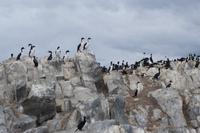 17 Tage Wanderreise Argentinien und Chile – Patagonien und Feuerland mit Buenos Aires – Nationalpark Los Glaciares mit El Chalten und Perito Moreno – Nationalpark Torres del Paine – Feuerland – Ushuaia (889)