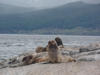 17 Tage Wanderreise Argentinien und Chile – Patagonien und Feuerland mit Buenos Aires – Nationalpark Los Glaciares mit El Chalten und Perito Moreno – Nationalpark Torres del Paine – Feuerland – Ushuaia (893)