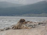 17 Tage Wanderreise Argentinien und Chile – Patagonien und Feuerland mit Buenos Aires – Nationalpark Los Glaciares mit El Chalten und Perito Moreno – Nationalpark Torres del Paine – Feuerland – Ushuaia (895)