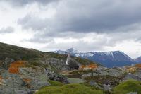 17 Tage Wanderreise Argentinien und Chile – Patagonien und Feuerland mit Buenos Aires – Nationalpark Los Glaciares mit El Chalten und Perito Moreno – Nationalpark Torres del Paine – Feuerland – Ushuaia (908)