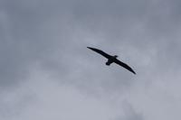 17 Tage Wanderreise Argentinien und Chile – Patagonien und Feuerland mit Buenos Aires – Nationalpark Los Glaciares mit El Chalten und Perito Moreno – Nationalpark Torres del Paine – Feuerland – Ushuaia (916)