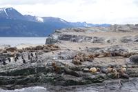 17 Tage Wanderreise Argentinien und Chile – Patagonien und Feuerland mit Buenos Aires – Nationalpark Los Glaciares mit El Chalten und Perito Moreno – Nationalpark Torres del Paine – Feuerland – Ushuaia (919)