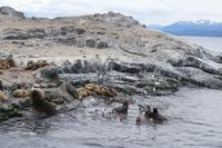 17 Tage Wanderreise Argentinien und Chile – Patagonien und Feuerland mit Buenos Aires – Nationalpark Los Glaciares mit El Chalten und Perito Moreno – Nationalpark Torres del Paine – Feuerland – Ushuaia (923)