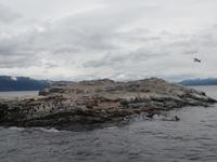 17 Tage Wanderreise Argentinien und Chile – Patagonien und Feuerland mit Buenos Aires – Nationalpark Los Glaciares mit El Chalten und Perito Moreno – Nationalpark Torres del Paine – Feuerland – Ushuaia (927)