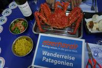 17 Tage Wanderreise Argentinien und Chile – Patagonien und Feuerland mit Buenos Aires – Nationalpark Los Glaciares mit El Chalten und Perito Moreno – Nationalpark Torres del Paine – Feuerland – Ushuaia (944)