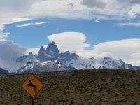 Hinfahrt nach El Chalten - Patagonien mit Fitz Roy im Hintergrund (1)