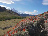 Hinfahrt nach El Chalten - Patagonien mit Fitz Roy im Hintergrund (4)