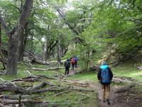 Wanderung zum Laguna de los Tres mit Fitz Roy in El Chalten - Patagonien (16)