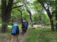 Wanderung zum Laguna de los Tres mit Fitz Roy in El Chalten - Patagonien (18)