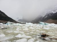 Wanderung zum Laguna Torre in El Chalten - Patagonien (19)