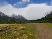 Wanderung zum Laguna Torre in El Chalten - Patagonien (22)