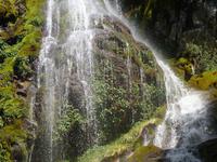 Wanderung zum Huemul Gletscher und Lago del Desierto bei El Chalten - Patagonien (19)