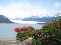 Perito Moreno Gletscher bei El Calafate - Patagonien (24)